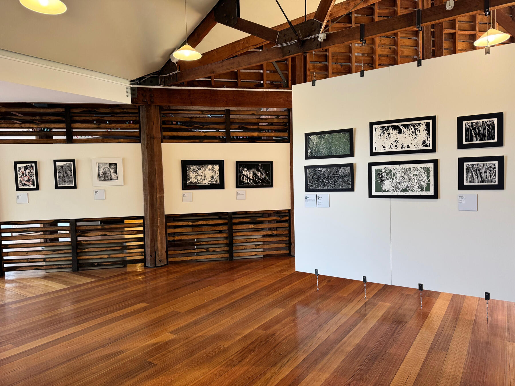 'Hidden Ecology' installation view, 2025, Coal Creek Museum. Courtesy of South Gippsland Shire.