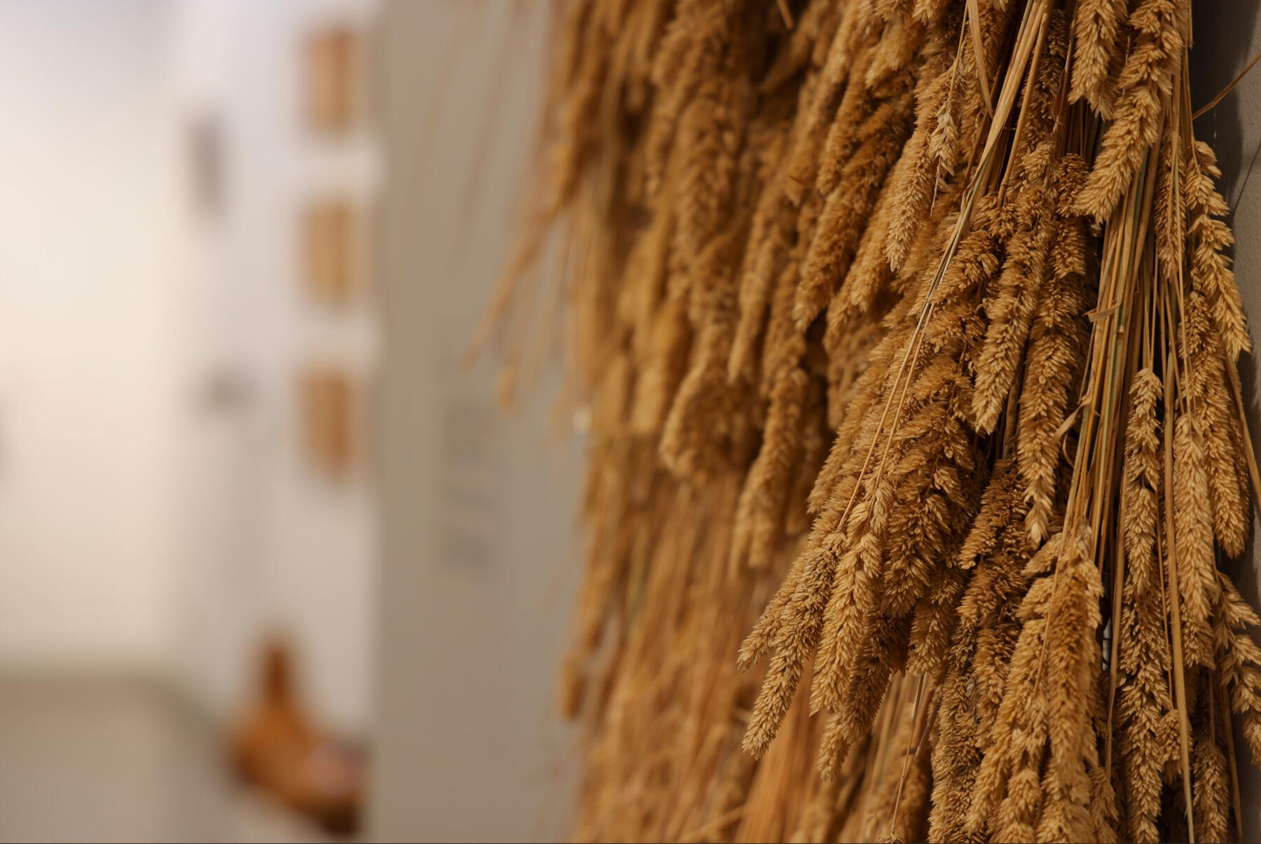 'Rhythm of the Land', detail, Ellen Taylor, Of The Earth, Berninneit Art Gallery. Image: Marshall Warren. Courtesy of the artist